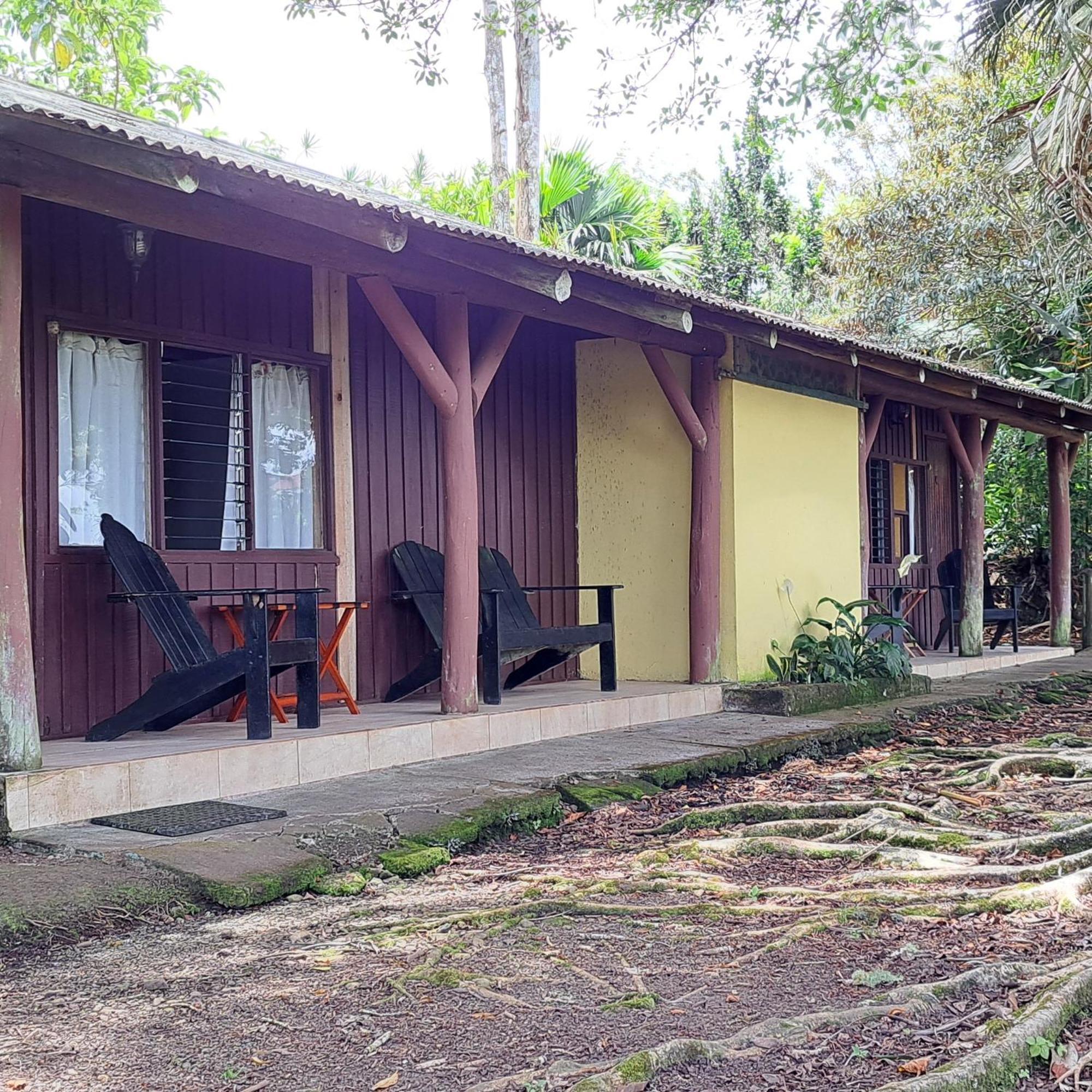 Pochotel Turrialba Ngoại thất bức ảnh