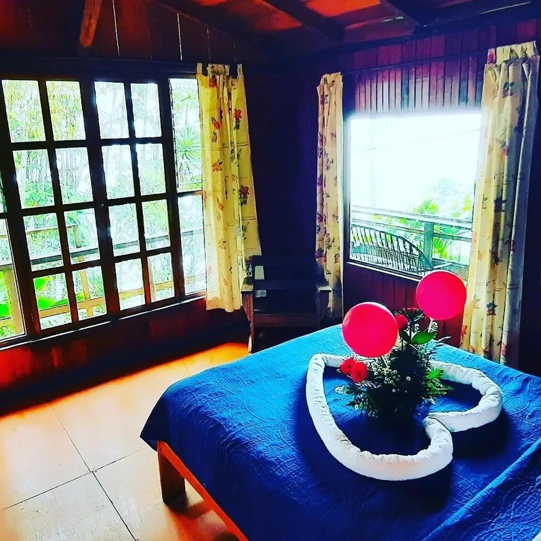 Pochotel Turrialba Phòng bức ảnh